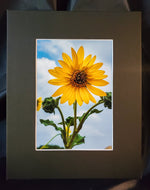 Charger l&#39;image dans la galerie, Sunflower Dreams Photography Print - Gypsy Rae Boutique
