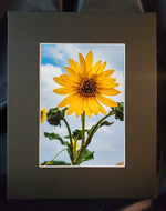 Cargar imagen en el visor de la galería, Sunflower Dreams Photography Print - Gypsy Rae Boutique
