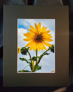 Sunflower Dreams Photography Print - Gypsy Rae Boutique