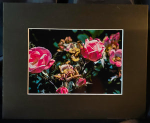 Pink Flowers Photography Print - Gypsy Rae Boutique
