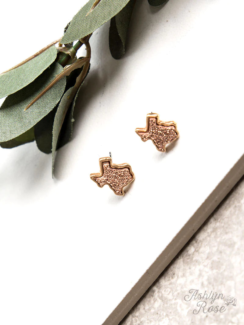 Texas On My Mind Druzy Stud Earrings - Gypsy Rae Boutique, LLC